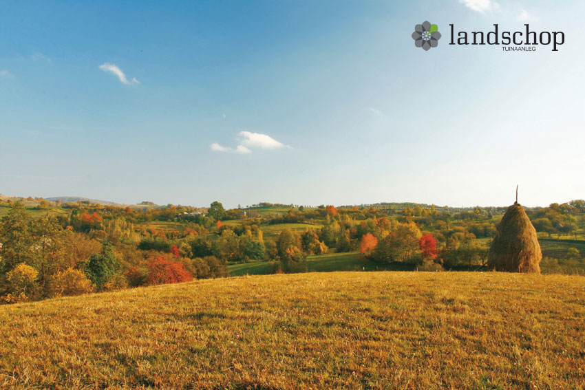 LANDSCHOP tuinaanleg, tuin- en landschapsarchitectuur